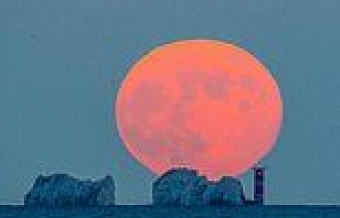 Stunning Strawberry Moon will glow a golden hue in the night sky THURSDAY