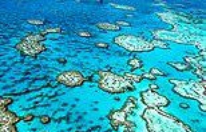 United Nations list world heritage listed Great Barrier Reef 'in danger' but ...