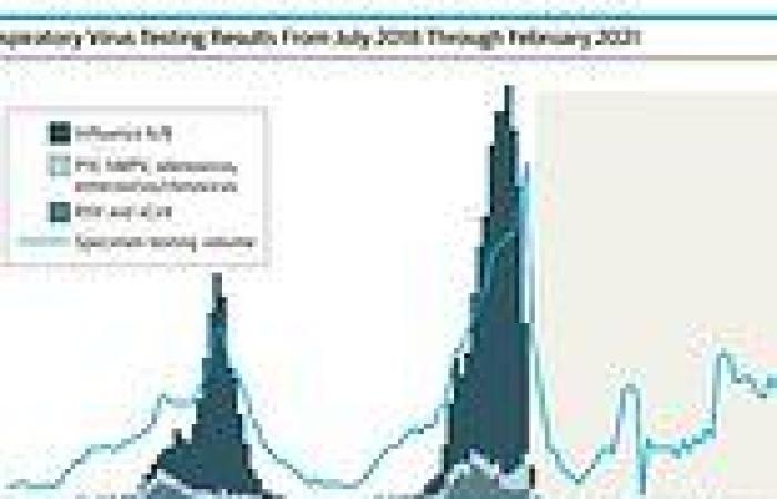 Influenza and other seasonal virus cases fell from 4,800 per month in 2019 to ...