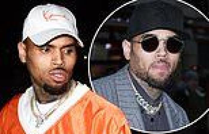 Chris Brown 'is under investigation for battery'