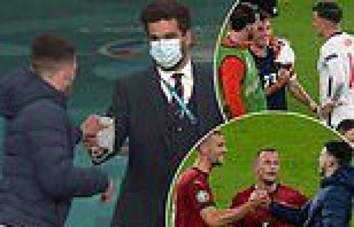 sport news Euro 2020: Declan Rice handed face-mask as he chats with Czech duo Tomas Soucek ...