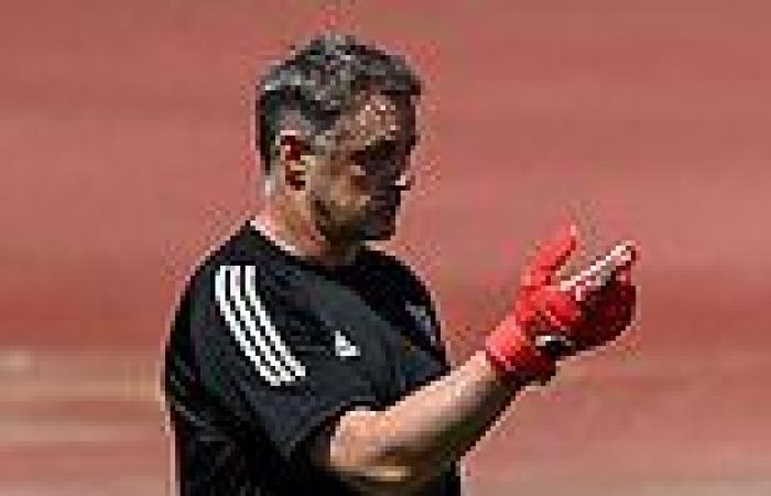 sport news Wolves' hopes of signing Danny Ward boosted with Wales coach Tony Roberts to ...