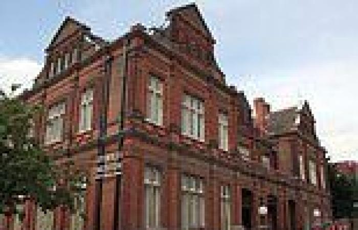 Bosses at Ipswich Museum order review of 'problematic' artefacts in bid to ...