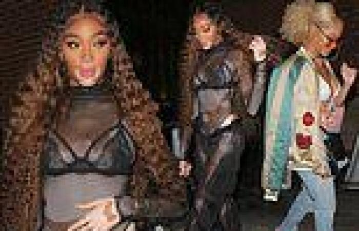 Winnie Harlow slips into black lace lingerie and a fishnet bodysuit for a night ...