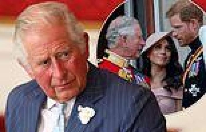 Prince Charles DIDN'T axe Prince Harry's cash, accounts show