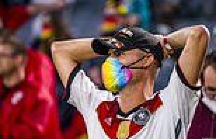 German fans should stay away from Wembley for Euro 2020 showdown, country's ...