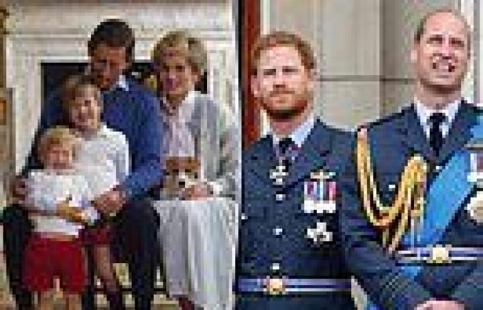 Princess Diana statue could drive Prince Harry and Prince William APART, royal ...
