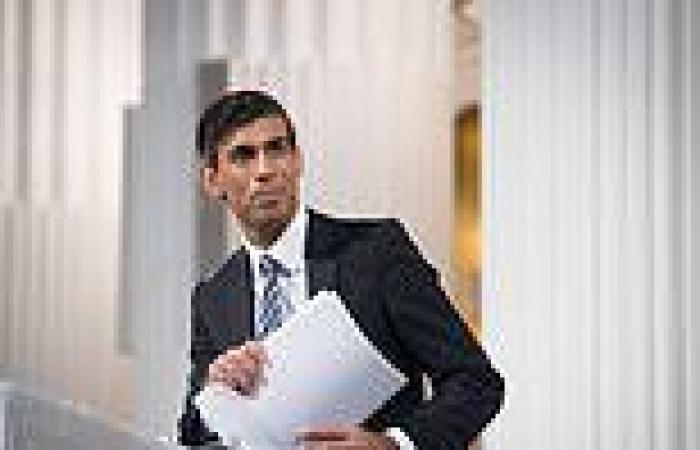 Rishi Sunak says UK will 'do things differently and better' outside EU