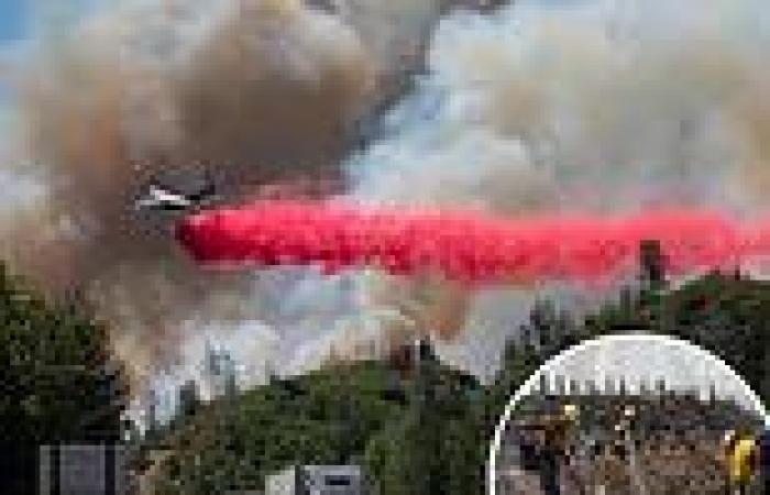 California wild fire grows to 17,000 acres and threatens thousands of tiny ...