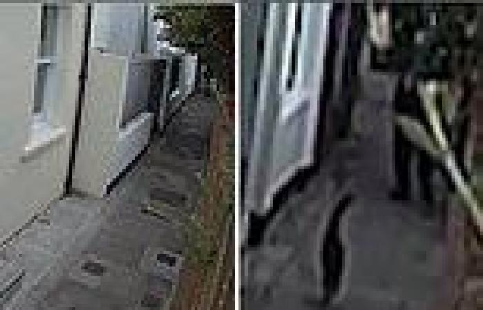 Amateur pet detectives who snared the Brighton Cat Killer