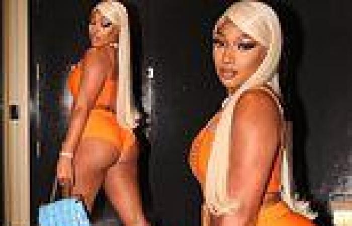 Megan Thee Stallion showcases curves in orange top and tiny shorts on girls ...