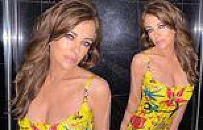 Elizabeth Hurley shows off her enviable figure in a yellow Versace dress