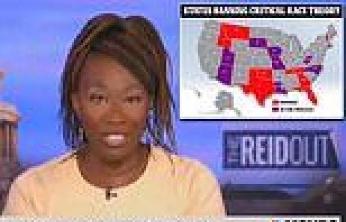MSNBC host Joy Reid says opponents of critical race theory are 'steeped in ...