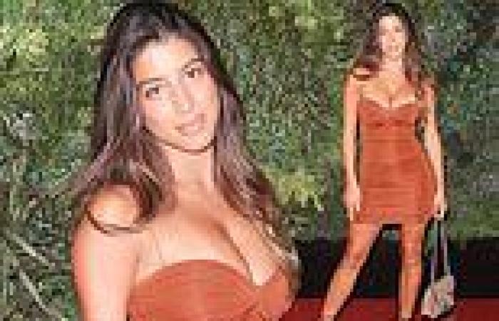 Love Island evictee Shannon Singh puts on busty display in figure-hugging dress ...