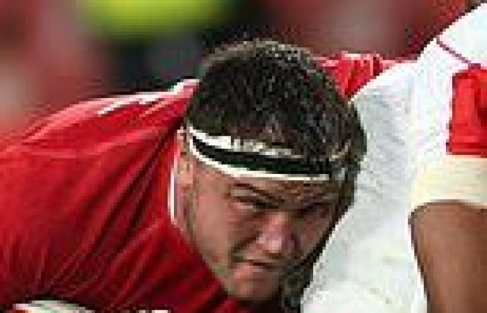 sport news Besieged Lions won't abandon their mission without a fight as they prepare to ...