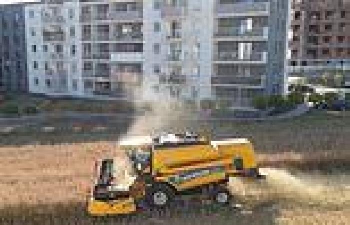 Polish farmer harvests his field surrounded by apartment blocks after he ...