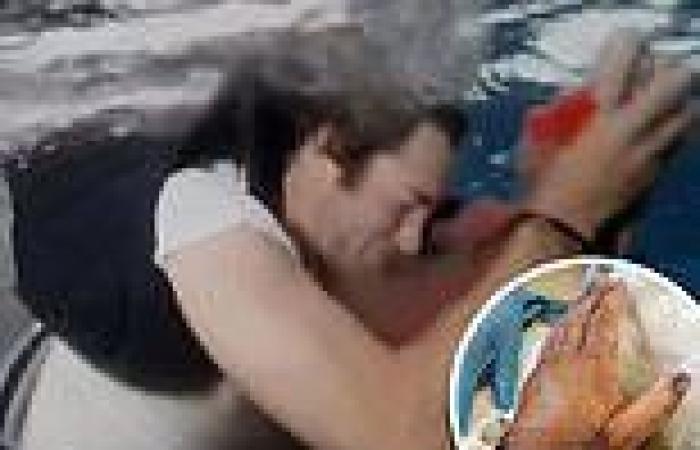Jackass star Sean McInerney suffers shark bite when wakeboard jump over ...
