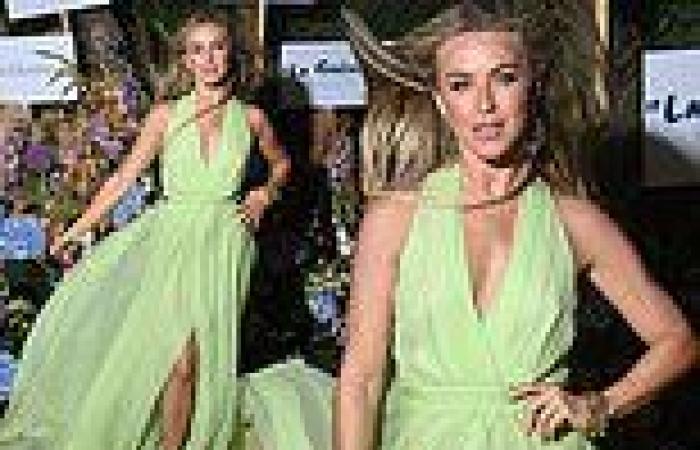 Julianne Hough sizzles in flowing green dress as she attends Naked Heart France ...