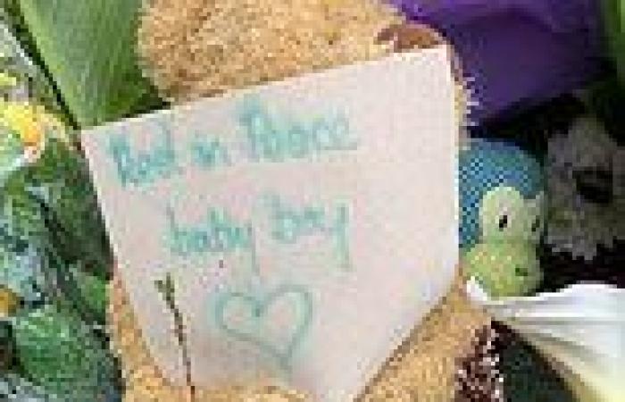 Central Coast parents where Staffy mauled five-week-old were 'warned' killer ...