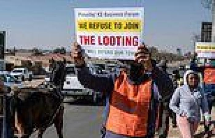 'We are on the verge of eating each other': South Africa vigilantes say they ...