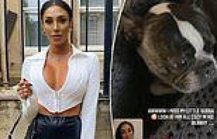 MAFS: Tamara Joy FaceTimes her dog in Australia after leaving for the UK