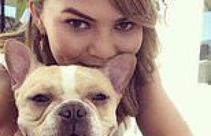 Chrissy Teigen reveals on Instagram that beloved French Bulldog Pippa 'just ...