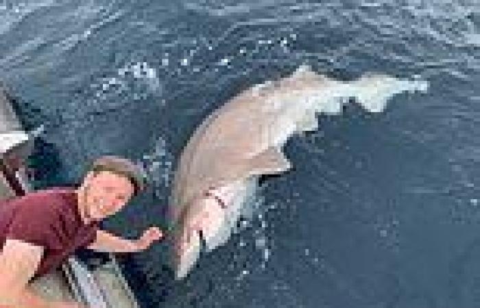 British fishermen catch FOURTEEN monster sharks in one day in European record ...