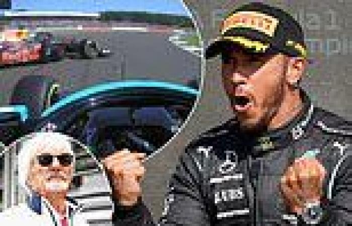 sport news Lewis Hamilton was to blame for Max Verstappen crash at British Grand Prix, ...