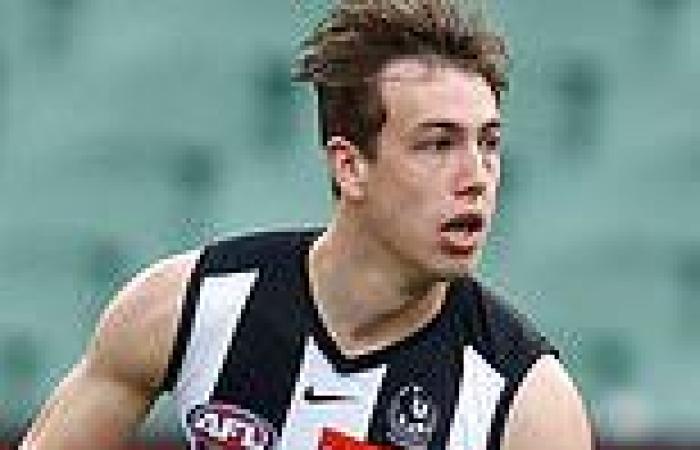 Shoulder surgery for second Brown at Pies 
