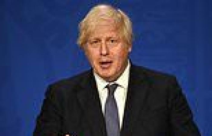 Boris Johnson is forced to put off announcing social care reforms until AUTUMN
