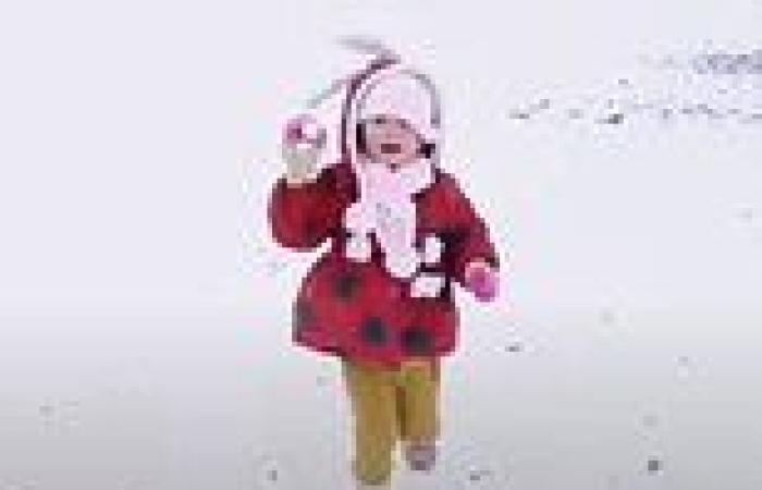 White Christmas in July: Cold snap sees heavy snowfall in NSW Northern ...