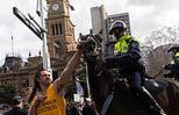 Photo shows a maskless thug punching police horse during Sydney's anti- Covid ...