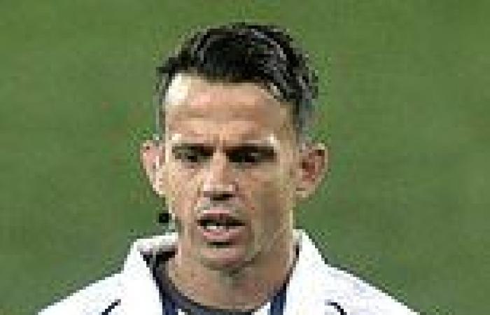 sport news ALLAIN ROLLAND: The Lions decided the match not any referee decisions... ...