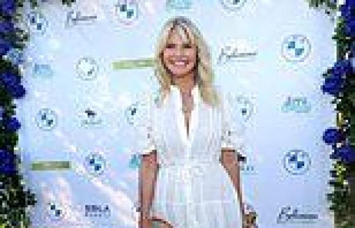 Christie Brinkley, 67, showcases her age-defying beauty and chic style in sheer ...