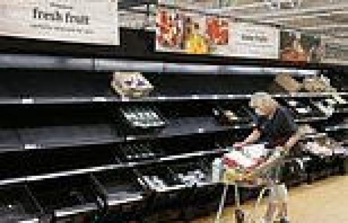 Supermarket shelves will empty again within WEEKS unless 'pingdemic' is ...