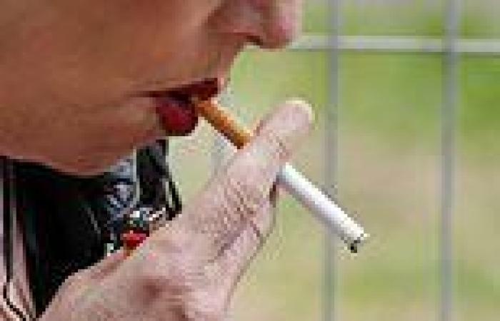 Lung cancer patients who quit smoking after diagnosis live about TWO YEARS ...