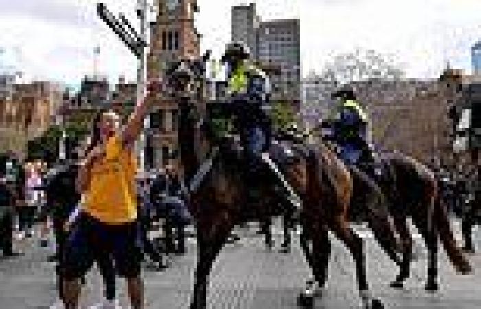 Coronavirus Australia: Brave police horse Tobruk receives gifts from the public ...