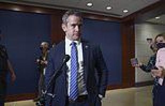 Republicans want to punish Liz Cheney and Adam Kinzinger for agreeing to serve ...