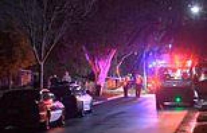 Dandenong house fire kills child as neighbour suffers burns in rescue attempt ...