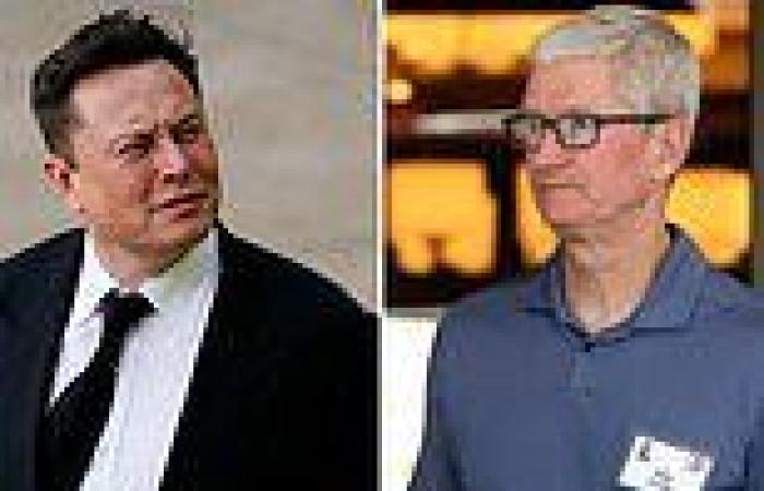 Elon Musk blasts Apple twice during Tesla earnings for its use of cobalt and ...