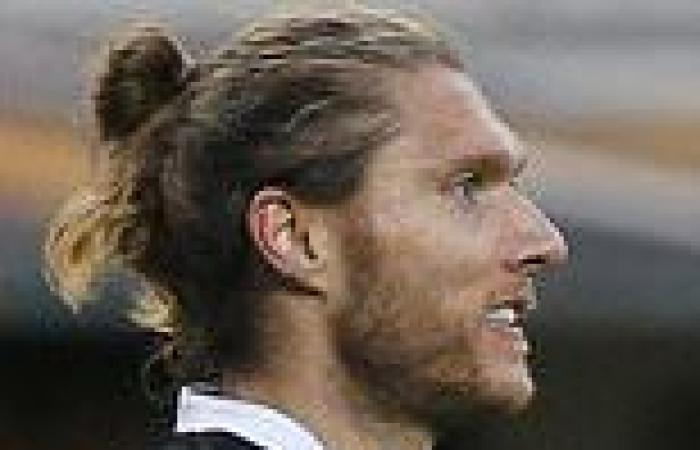 sport news Rotherham 1-1 Newcastle: Jeff Hendrick comes off the bench to earn Steve ...
