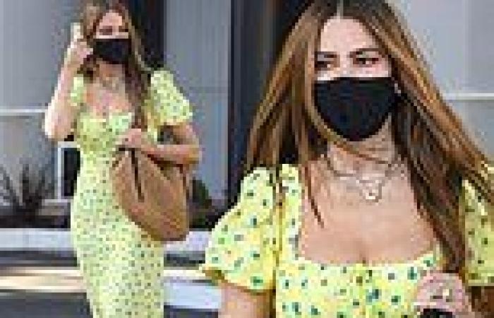 Sofia Vergara cuts a chic figure in floral gown during shopping outing in ...
