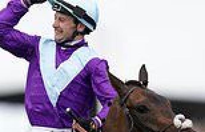 sport news Alcohol Free and Oisin Murphy claim memorable win in the Sussex Stakes for ...