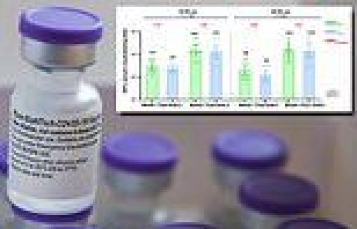 Pfizer reports that third dose of vaccine could boost protection against Indian ...