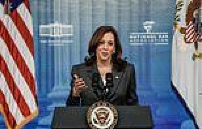 Harris admits 'hard-nosed' plan to combat 'root causes' of immigration won't ...