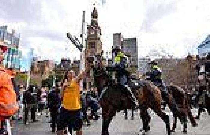 Man accused of punching Tobruk the police horse at anti-lockdown protest is ...