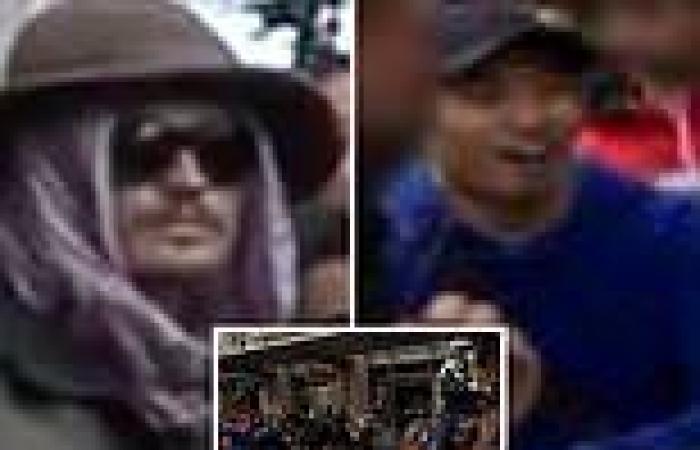 Hunt for men accused of throwing pot plants at mounted police during Sydney's ...