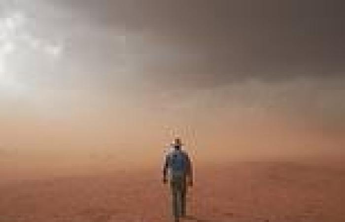 Incredible image of a farmer braving a dust storm wins the ultimate photography ...