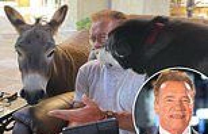 Arnold Schwarzenegger sits outdoors with pet donkey Lulu and dog Dutch ahead of ...