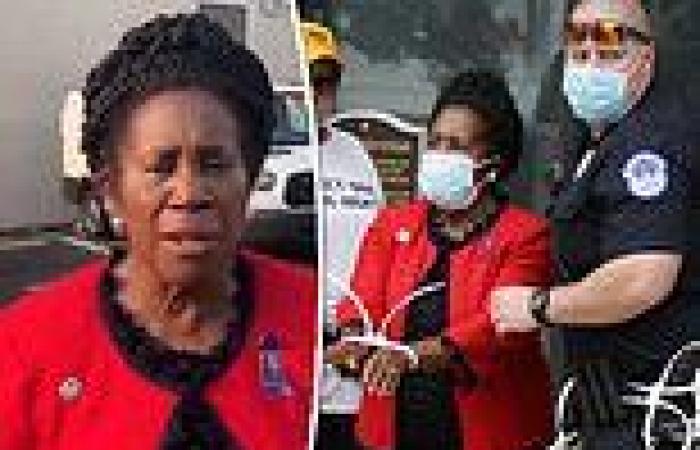 Texas Rep Sheila Jackson Lee is arrested and restrained with zip-ties during ...